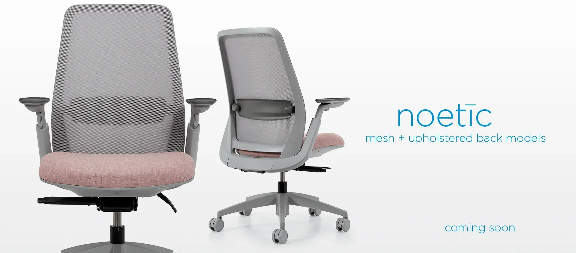 Noetic model 3
